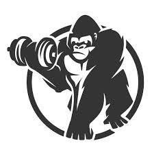 code-promo-Gorilla-Sports-2025
